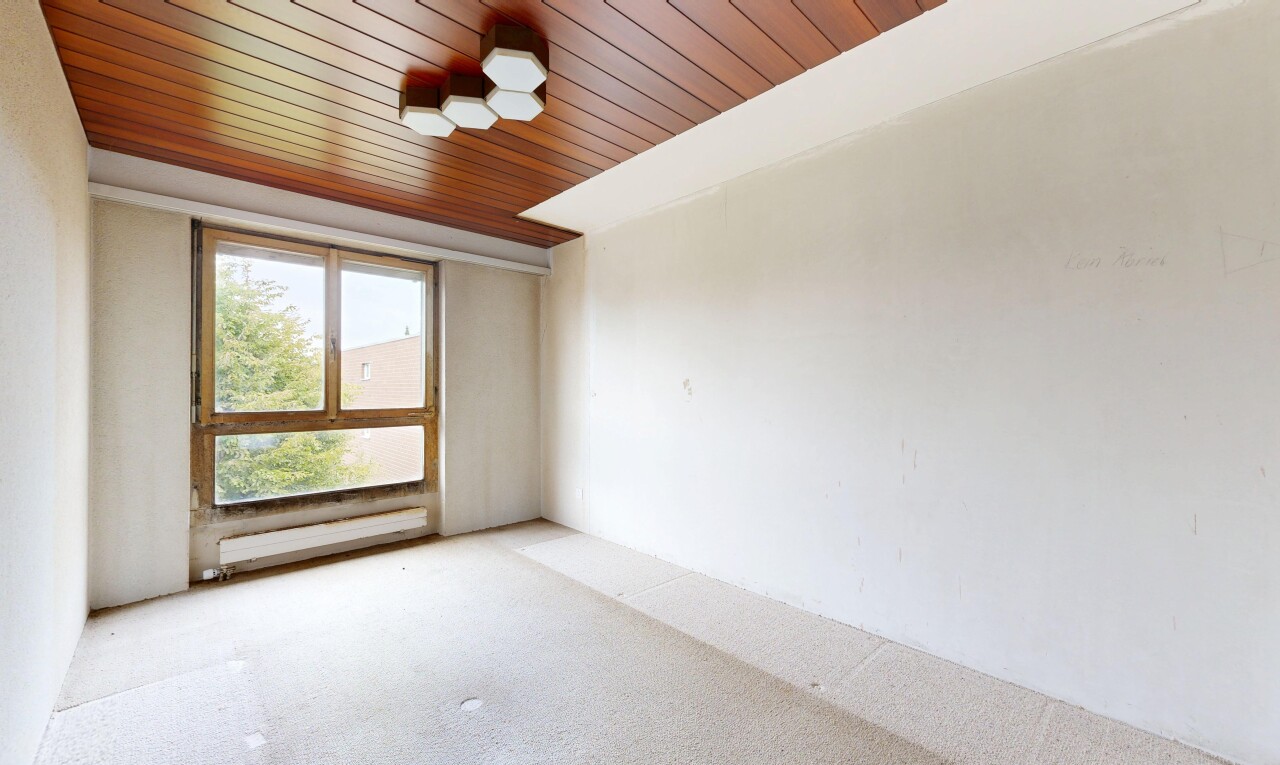 leerer raum mit holzdecke, wood ceiling, gipskartonwand, drywall, und teppich