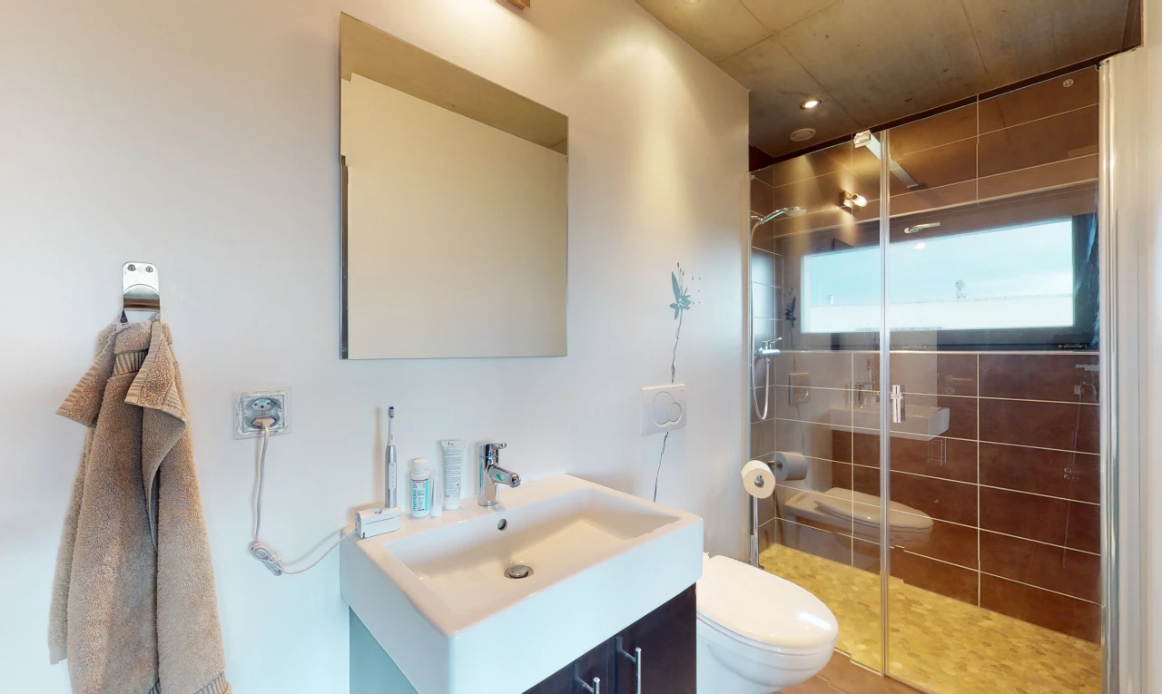 salle de bains avec meuble-lavabo, douche, porte de douche, toilettes, vasque, et miroir