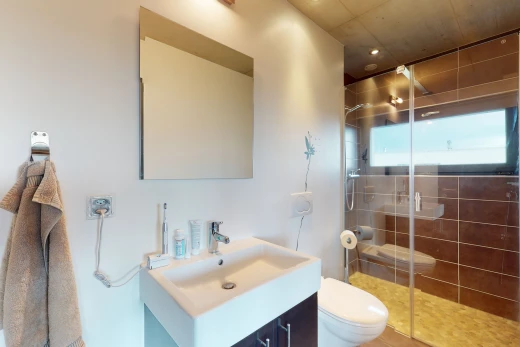 salle de bains avec meuble-lavabo, douche, porte de douche, toilettes, vasque, et miroir