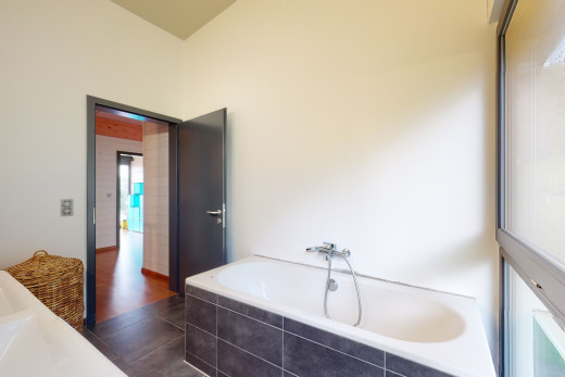 badezimmer mit natürliches licht und einer badewanne