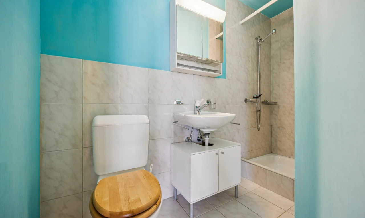 salle de bains avec miroir, douche, tile wall, mur en carrelage, et salle de bain complète
