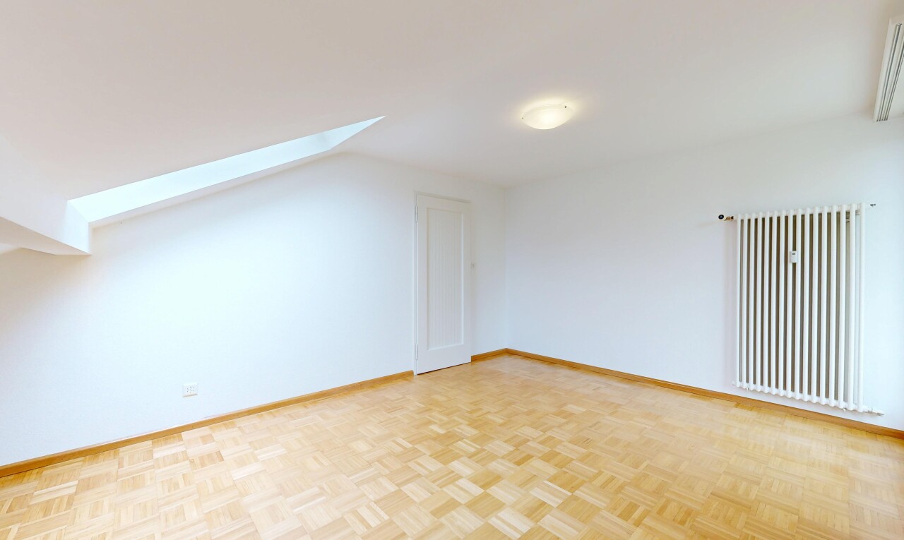 spare room with a skylight, parquet floors, and radiator