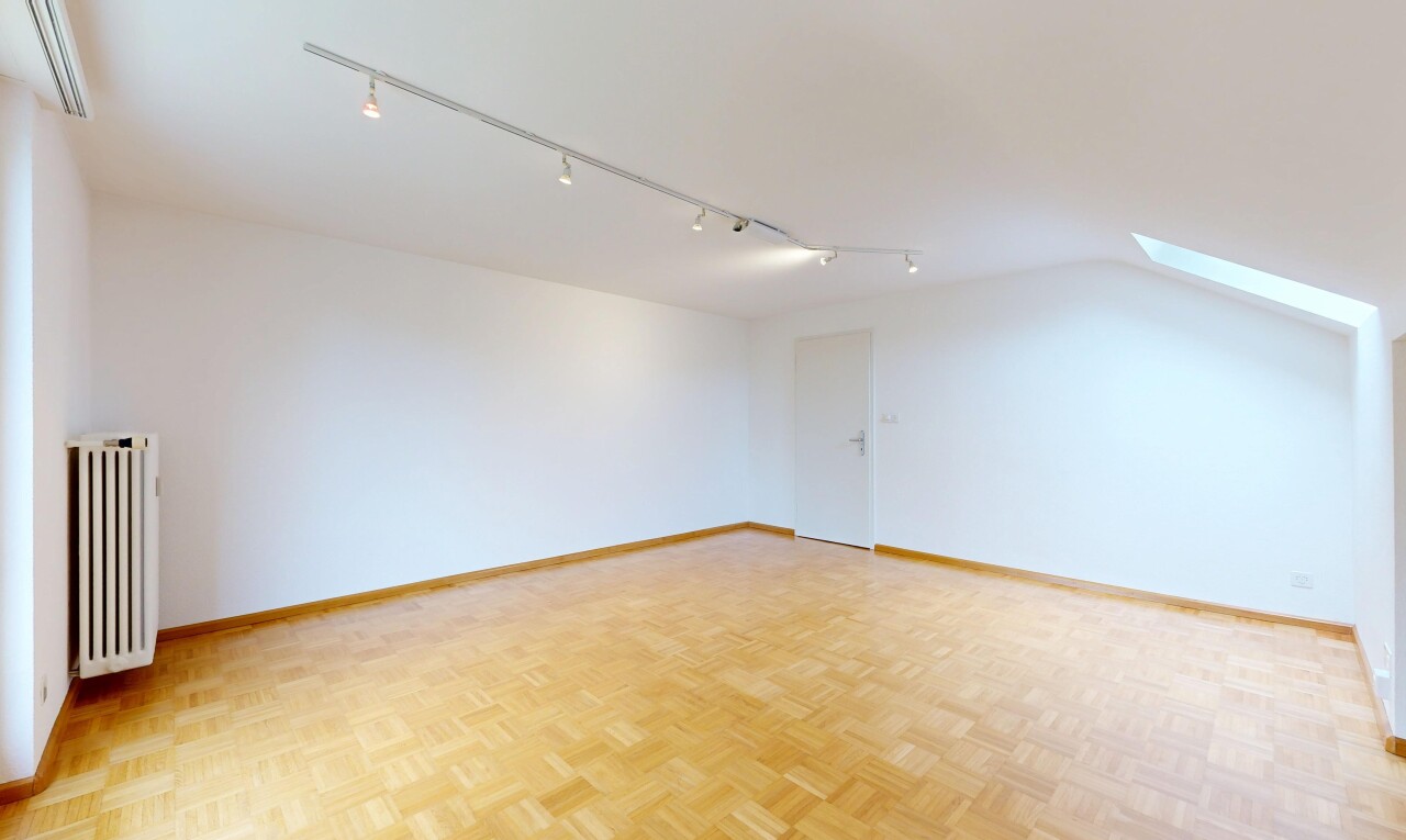 spare room featuring a skylight, parquet flooring, radiator heating unit, and rail lighting