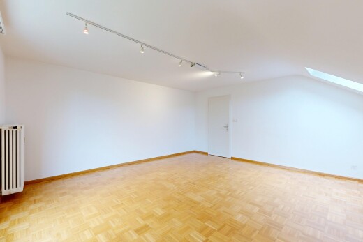 spare room featuring a skylight, parquet flooring, radiator heating unit, and rail lighting