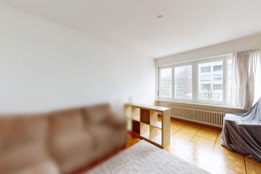 living room with radiator heating unit