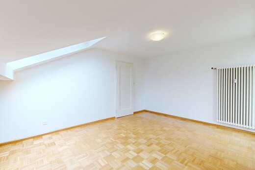 spare room with a skylight, parquet floors, and radiator