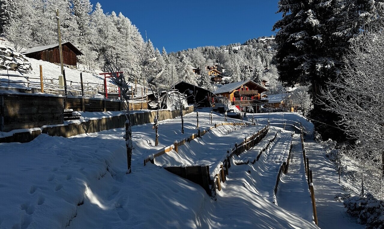 extérieur du bâtiment avec day time, snow, vue sur la montagne, et mountain view