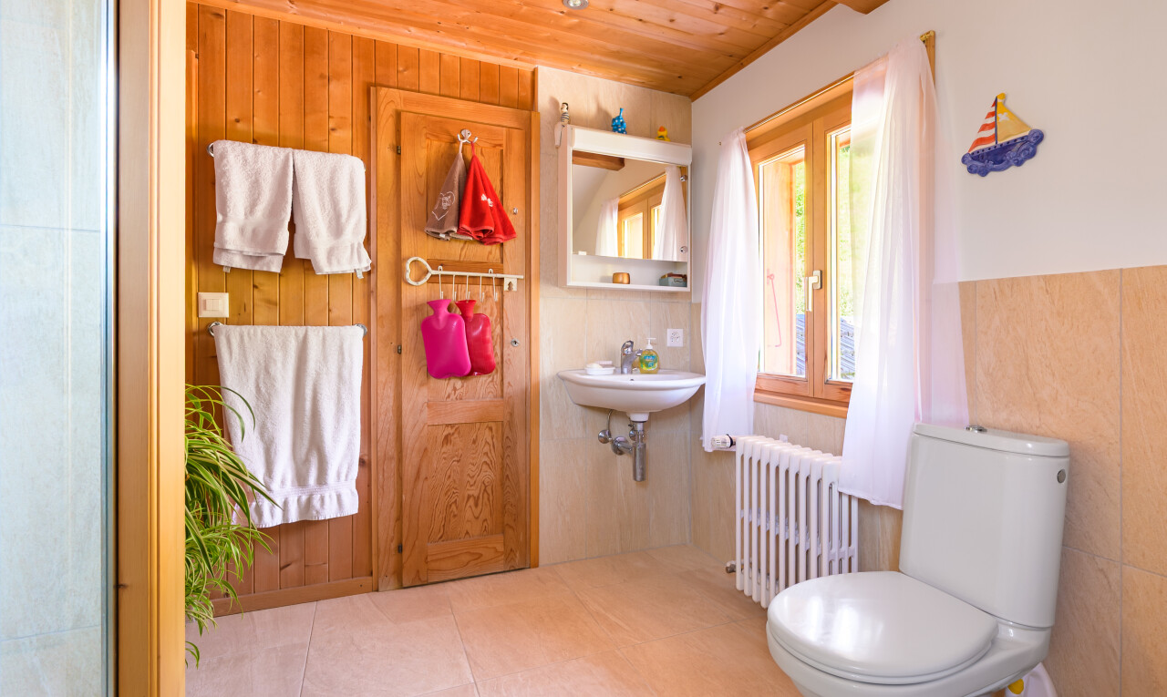 salle de bains avec radiateur, natural light, lumière naturelle, miroir, et toilette