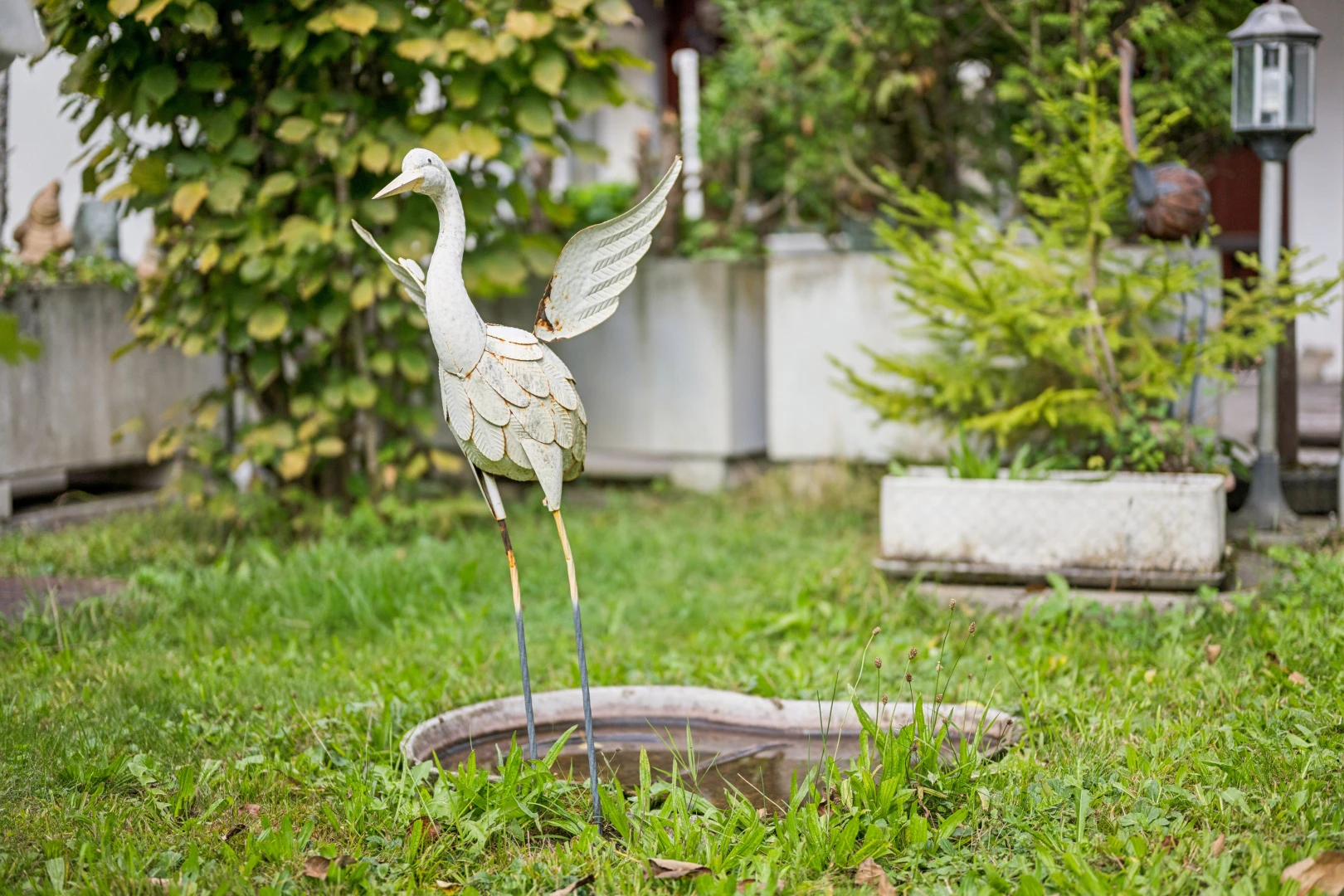 garten mit zaun und rasen