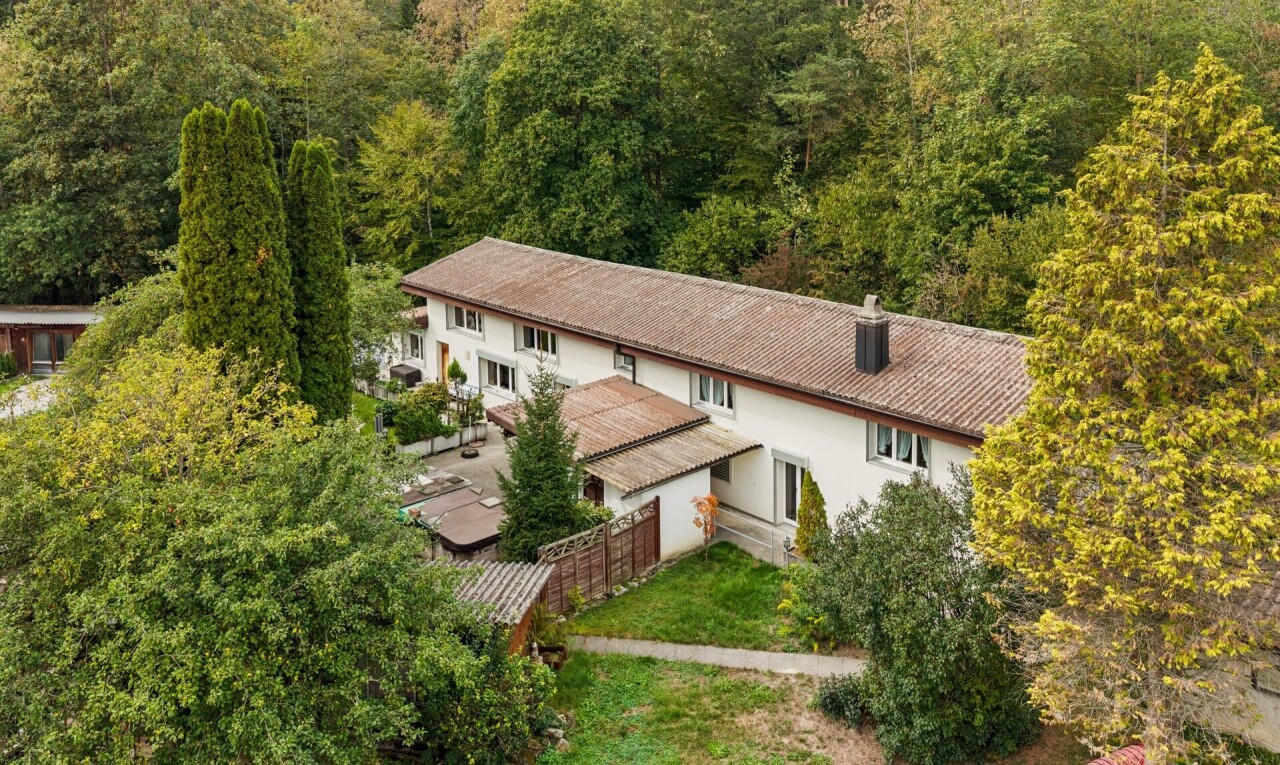 garten mit property visible, forest view, waldblick, zaun, und rasen