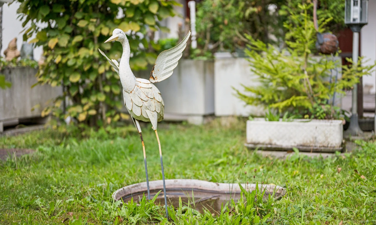 garten mit zaun und rasen