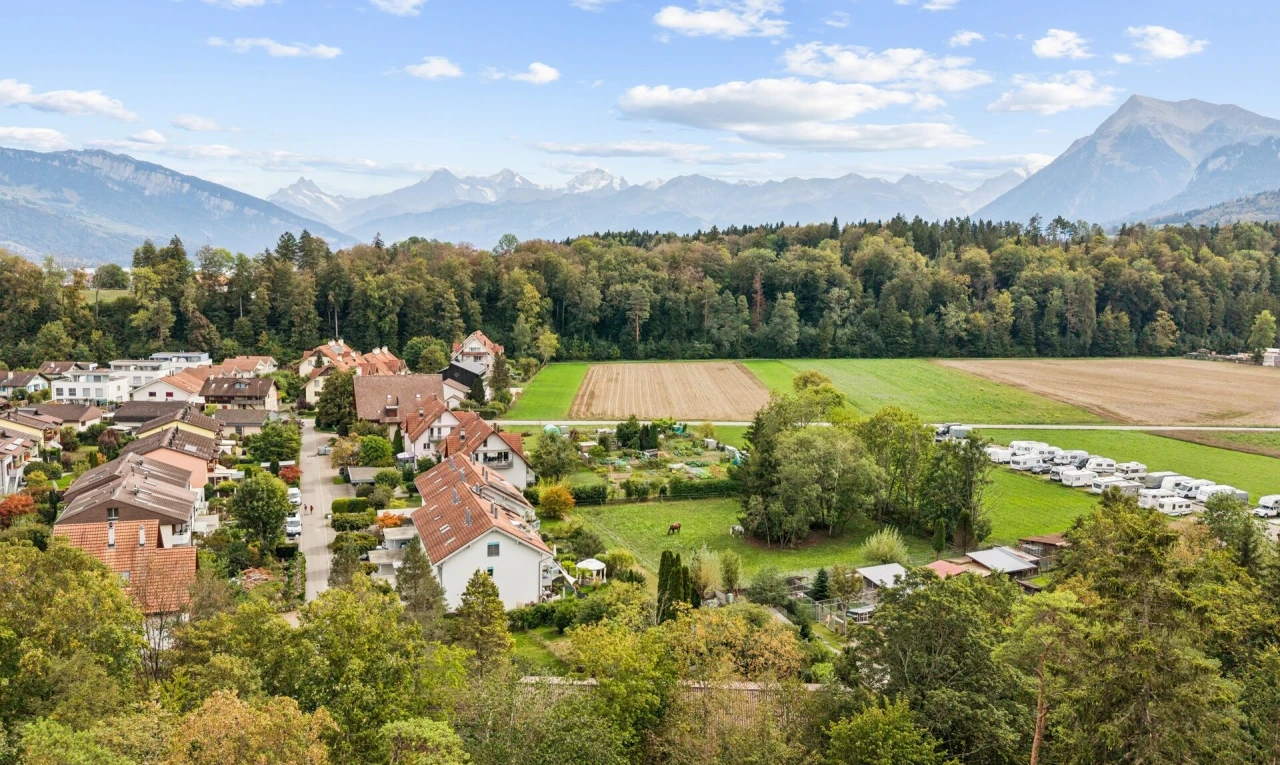 blick auf die berge mit mountain view, blick auf die berge, forest view, waldblick, und day time