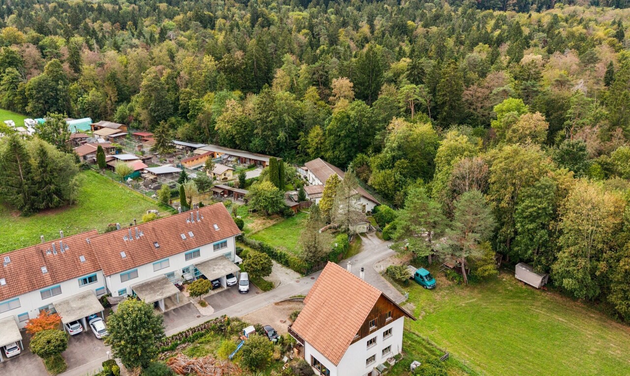 außenansicht mit forest view und waldblick