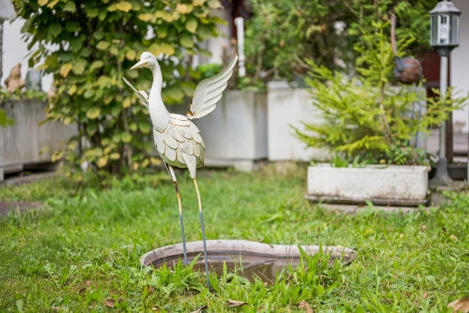 garten mit zaun und rasen