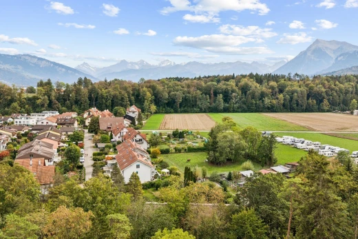 blick auf die berge mit mountain view, blick auf die berge, forest view, waldblick, und day time
