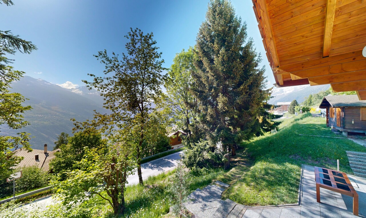 jardin avec day time et pelouse