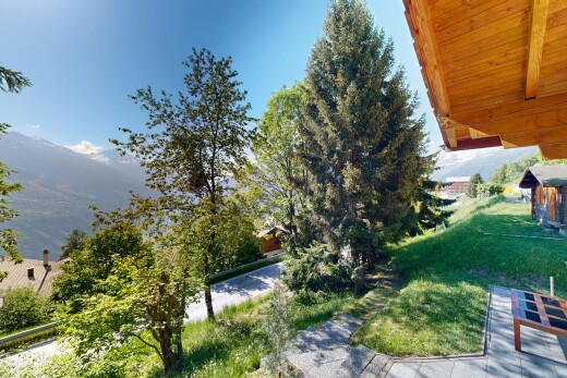 jardin avec day time et pelouse