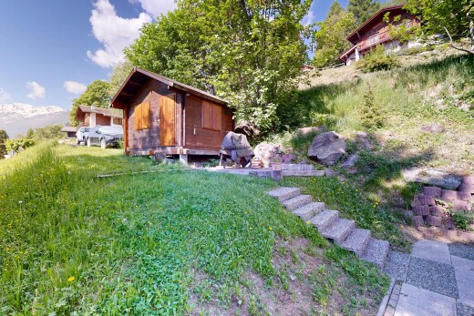 garden featuring a shed and a lawn