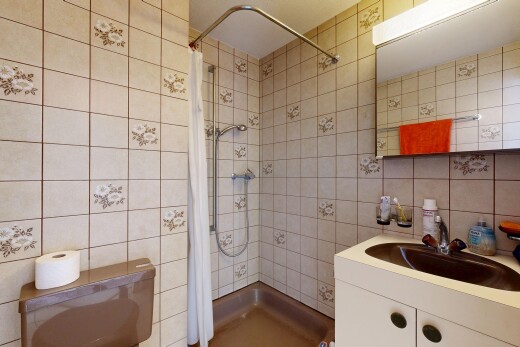 salle de bains avec mur en carrelage, tile wall, miroir, douche, et lavabo (ou coiffeuse selon le contexte)