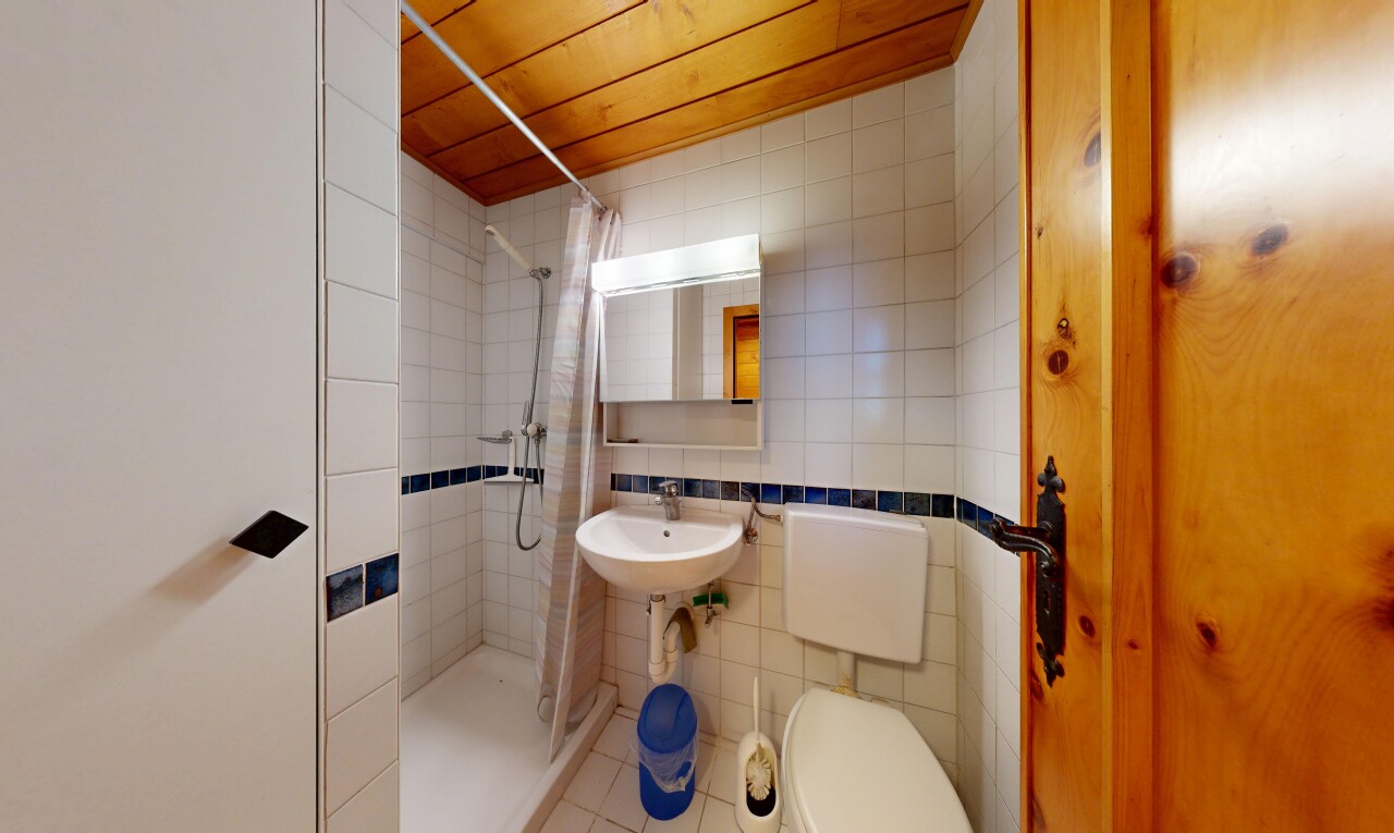 salle de bains avec mur en carrelage, tile wall, miroir, douche, et salle de bain complète