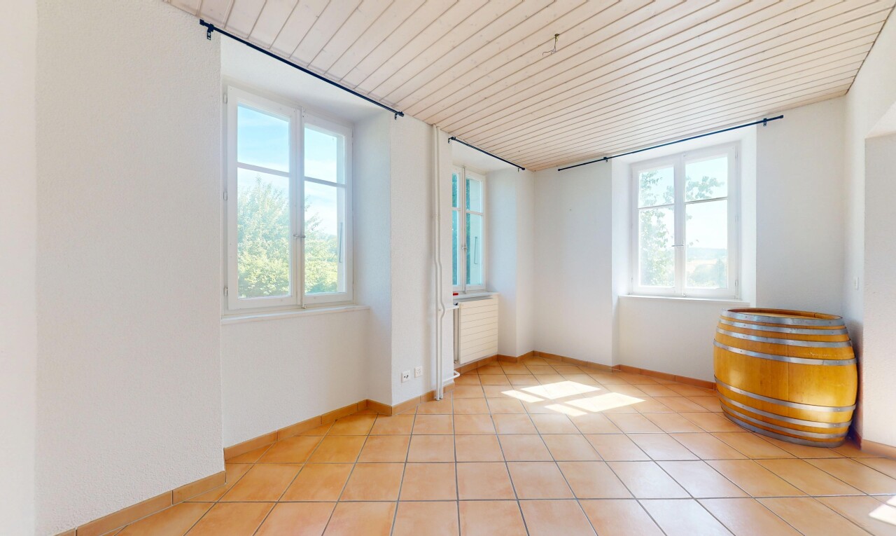 leerer raum mit natural light, natürliches licht, inside property, tile floor, und fliesenboden