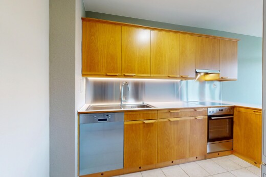 küche mit geschirrspülmaschine, ofen, waschbecken, dunstabzugshaube, und arbeitsplatten