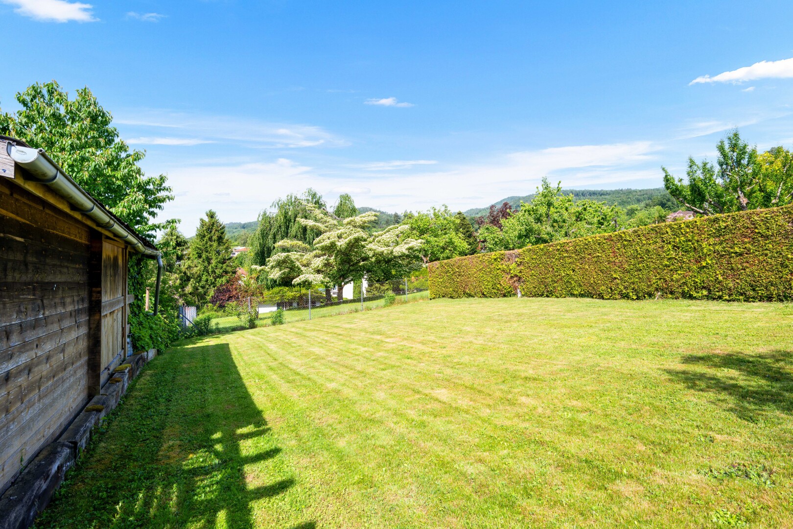 garten mit from property, zaun, day time, und rasen