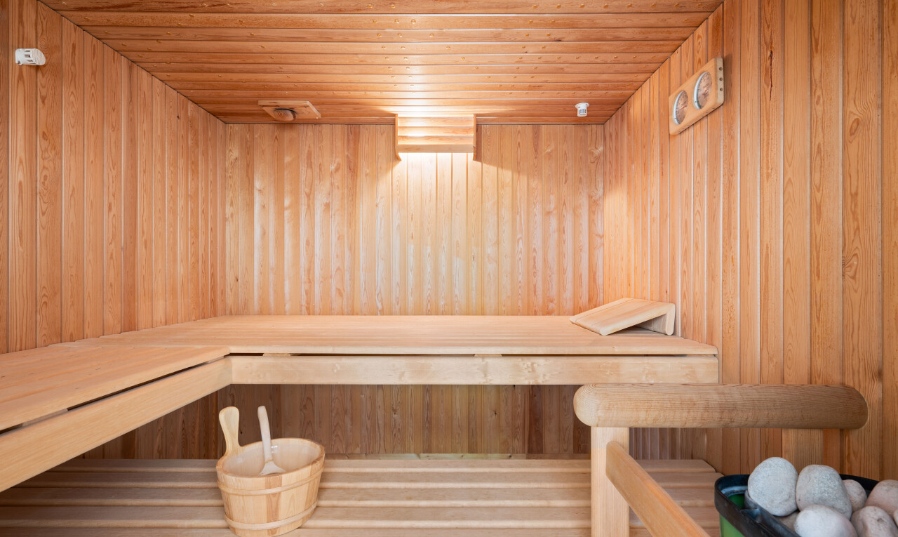 innenraum mit sauna, wall / siding, ceiling, holzdecke, und wood ceiling