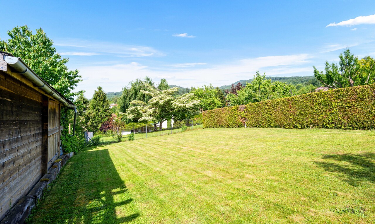 garten mit from property, zaun, day time, und rasen