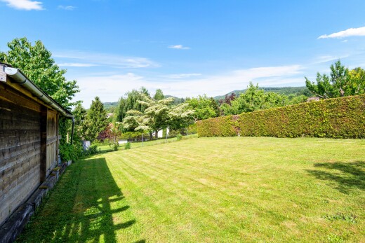 garten mit from property, zaun, day time, und rasen