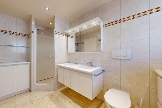 bad mit fliesenwand, tile wall, doppelwaschtisch, komplettes badezimmer, und dusche