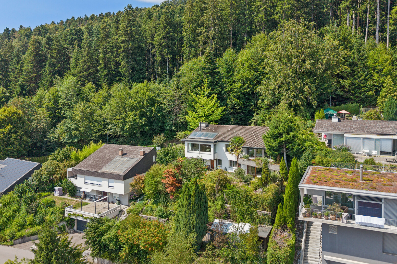 außenansicht mit waldblick, forest view, und day time