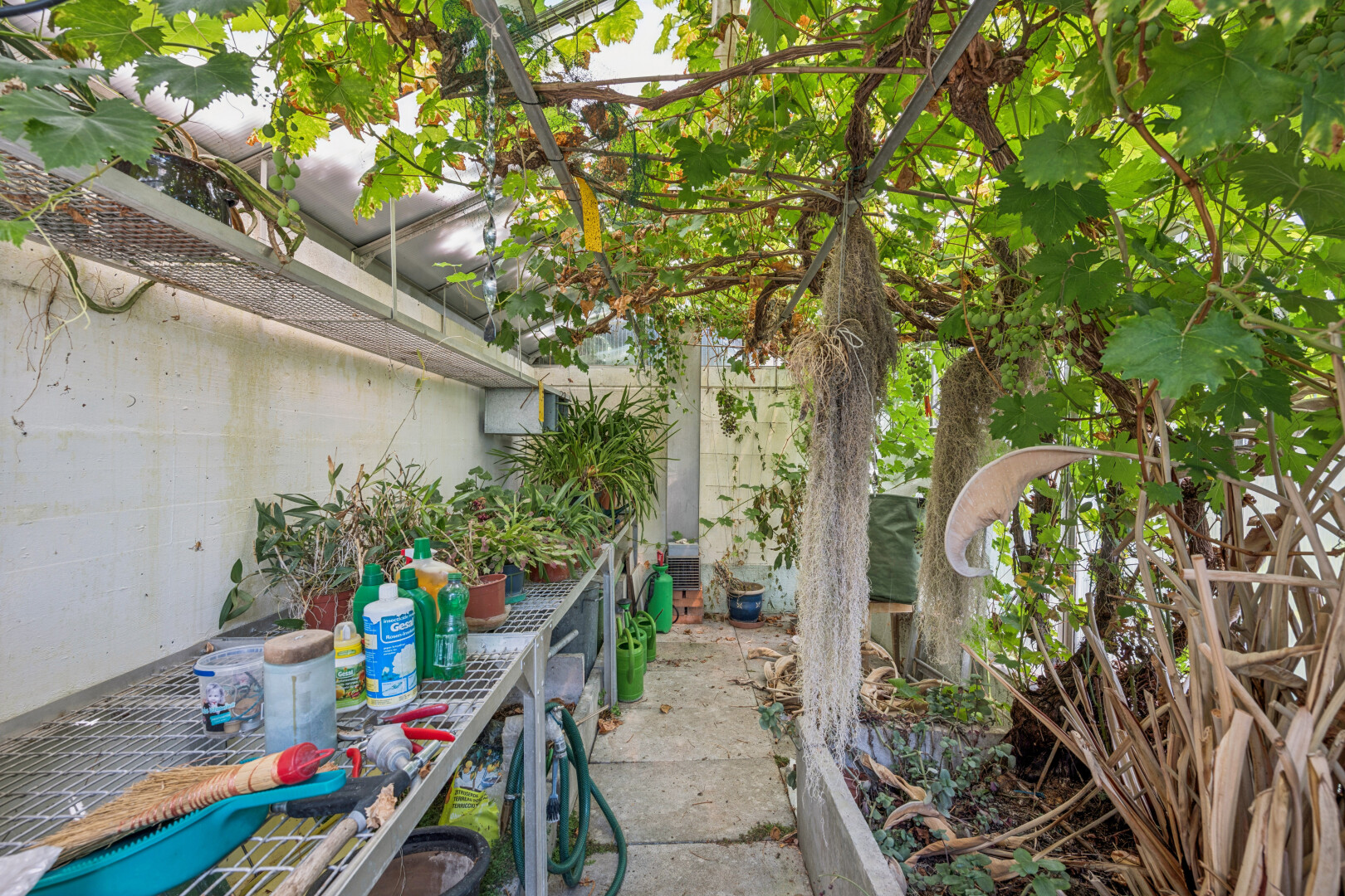 garten mit from property