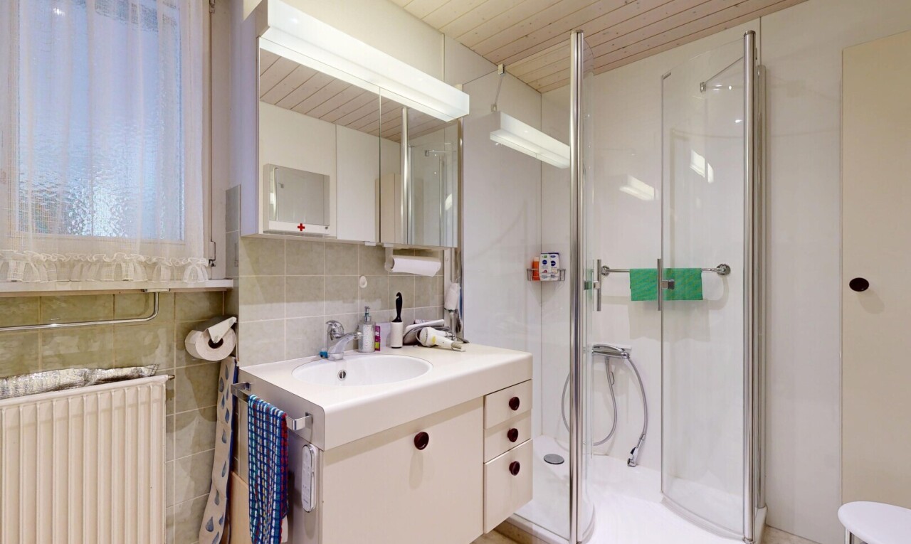 salle de bains avec lavabo (ou coiffeuse selon le contexte), radiateur, douche, miroir, et salle de bain complète
