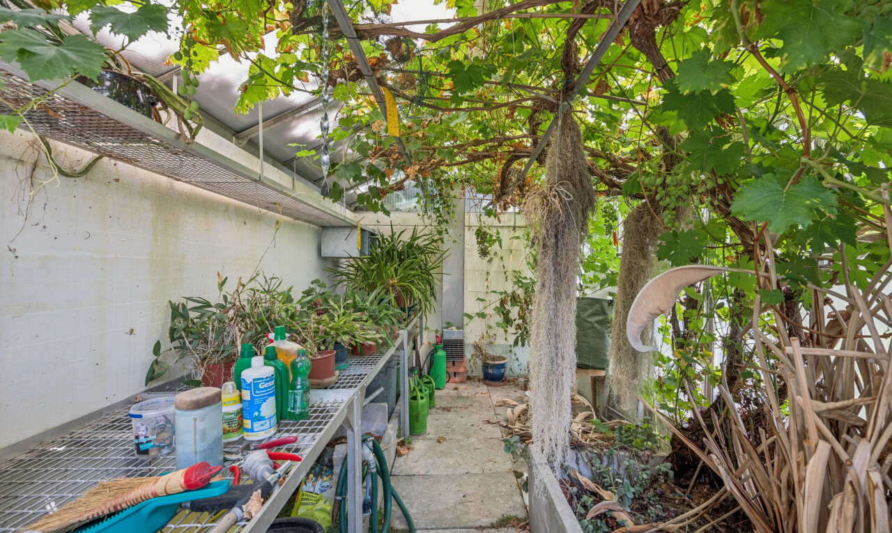 jardin avec from property