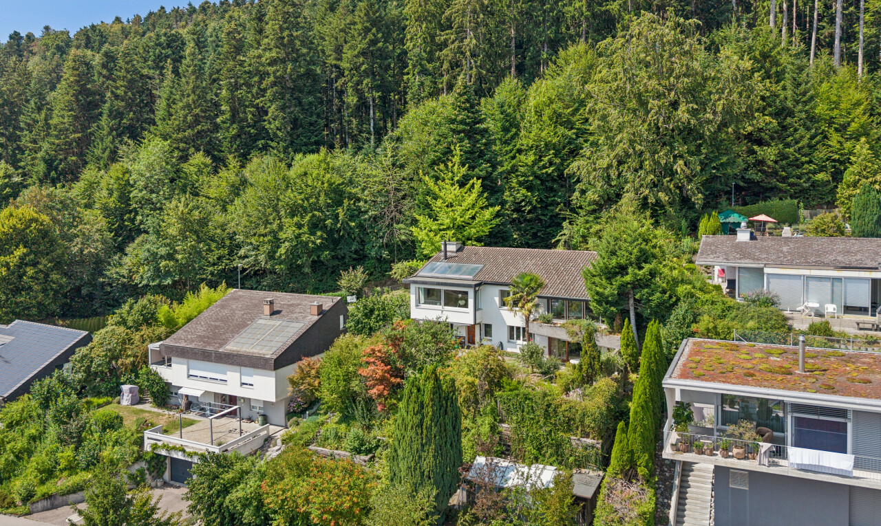 façade avec vue sur la forêt, forest view, et day time