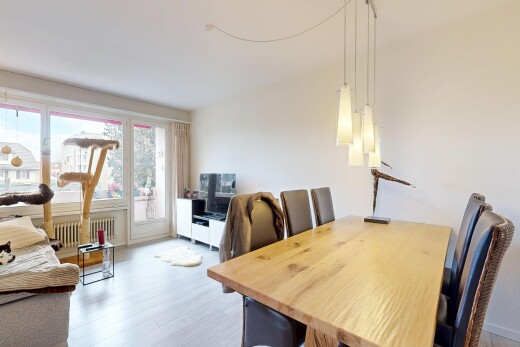 salon / salle à manger avec animal, animal pet, natural light, lumière naturelle, et radiateur