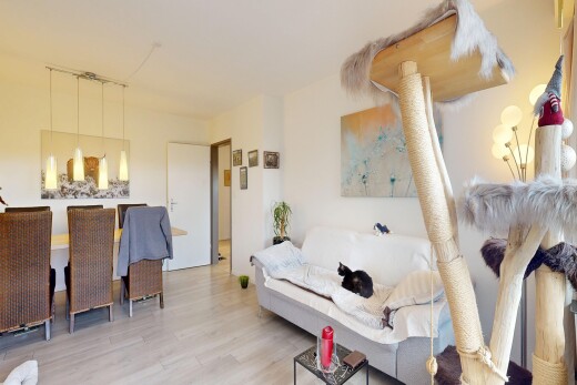 wohn- / esszimmer mit holzfußboden, wood finish floor, inside property, gipskartonwand, und drywall