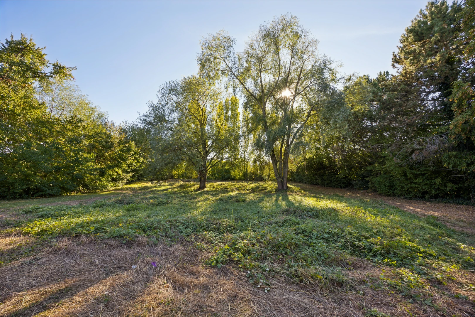 garten mit unknown und day time