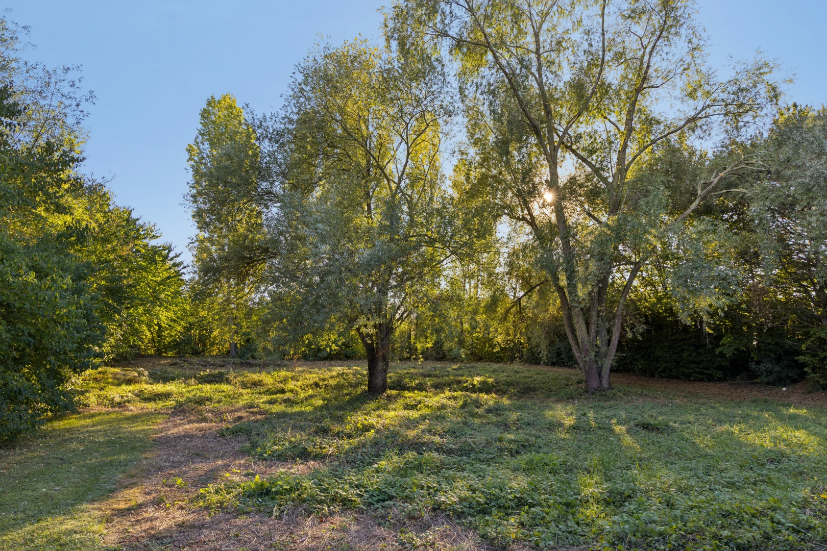 garten mit unknown