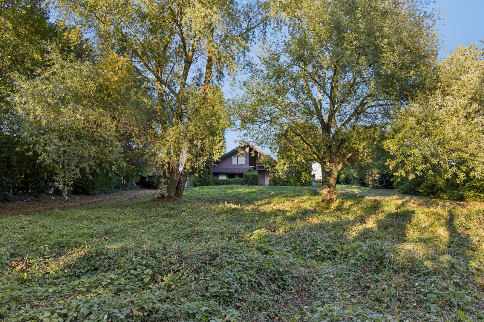 garten mit property visible, day time, rasen, waldblick, und woods view
