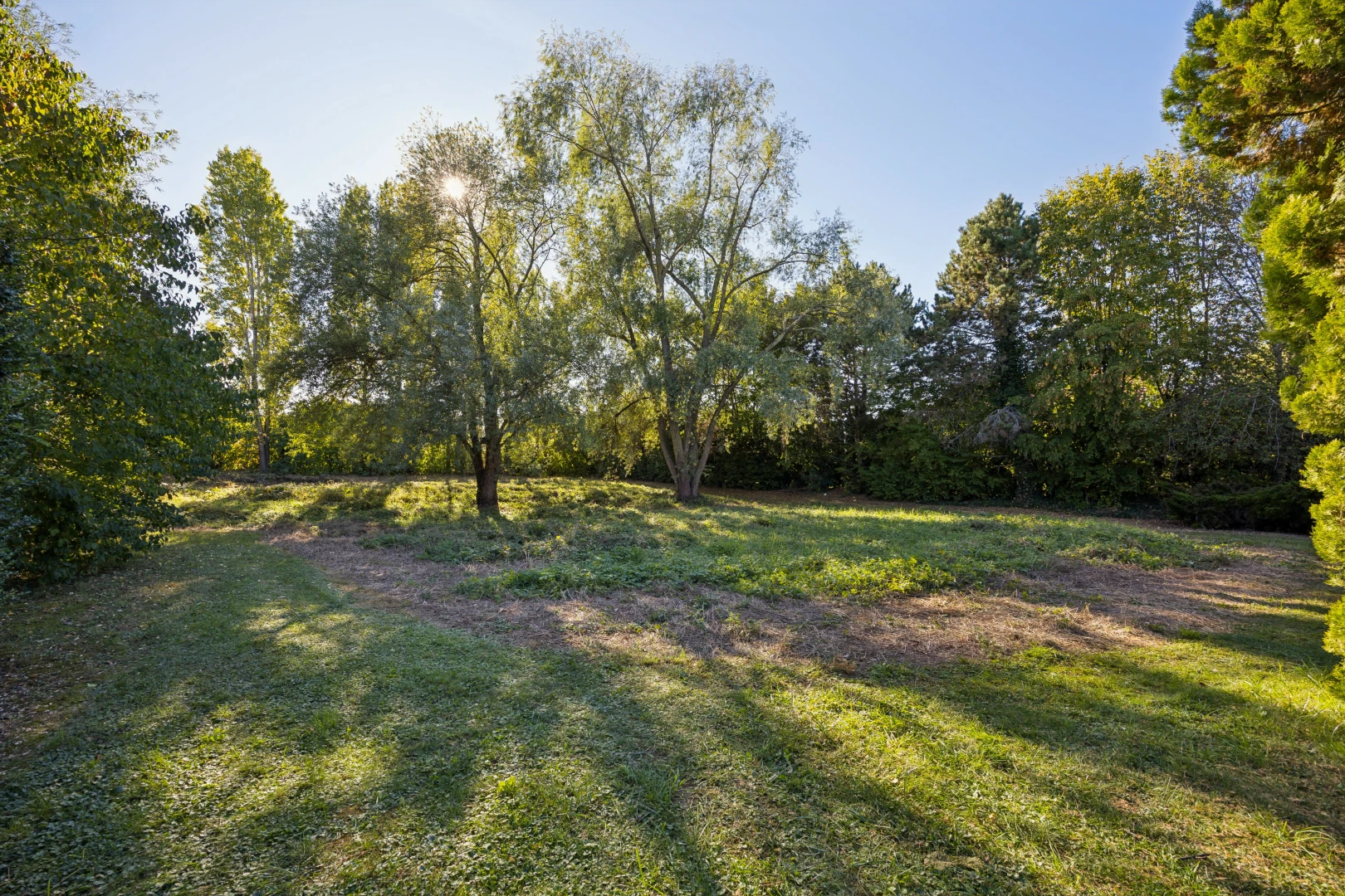 garten mit rasen, day time, und unknown
