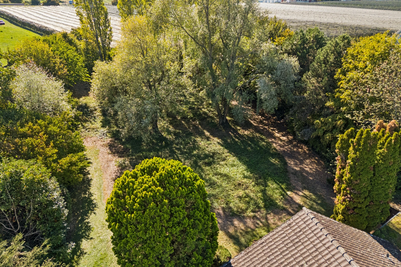 garten mit ländliche aussicht, rural view, blick auf obstgarten/agrarland, und orchard / agricultural view