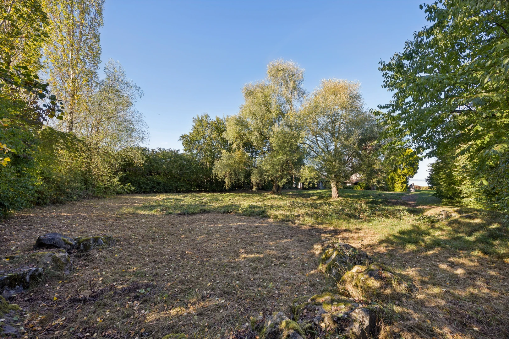 garten mit unknown und day time