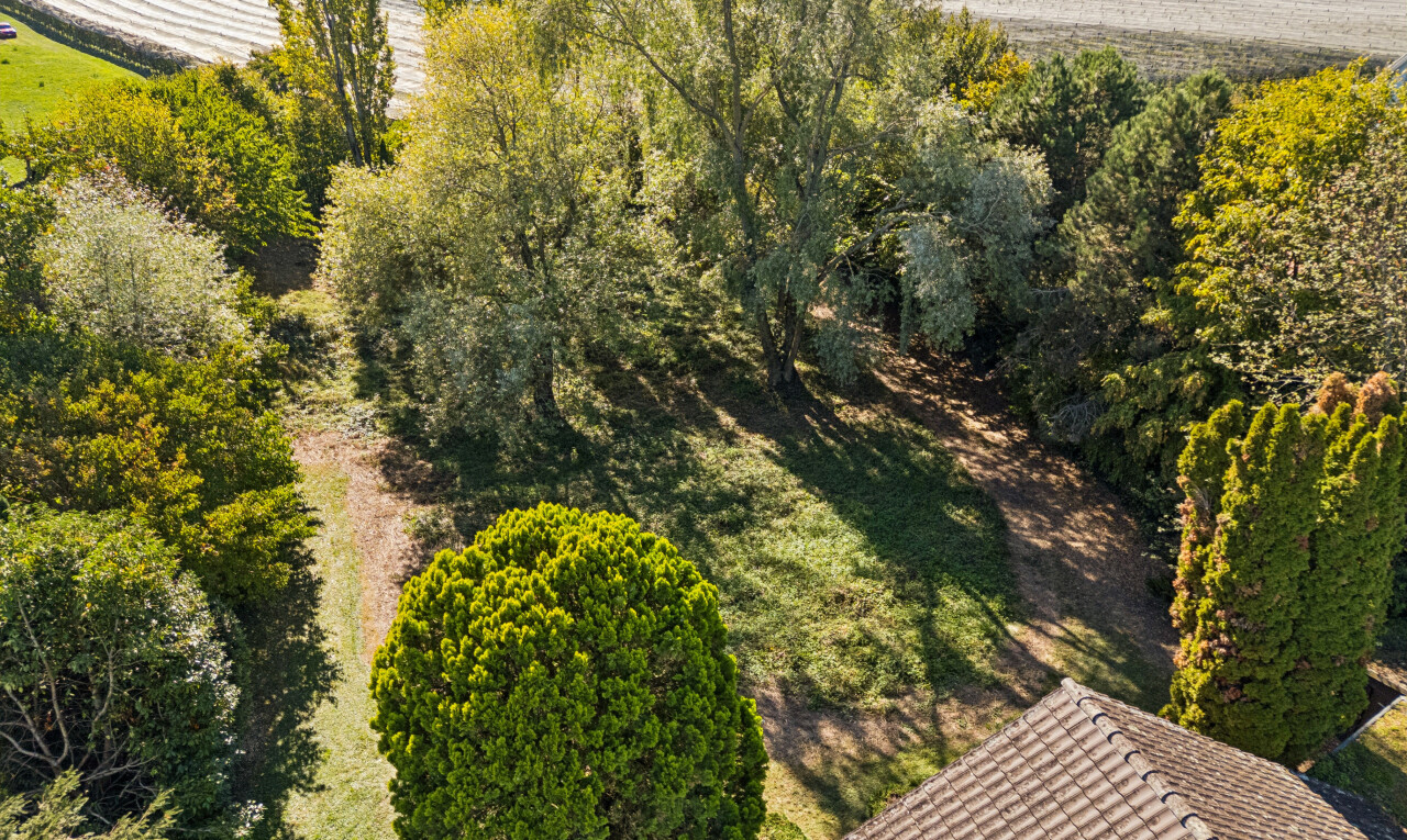 garten mit ländliche aussicht, rural view, blick auf obstgarten/agrarland, und orchard / agricultural view