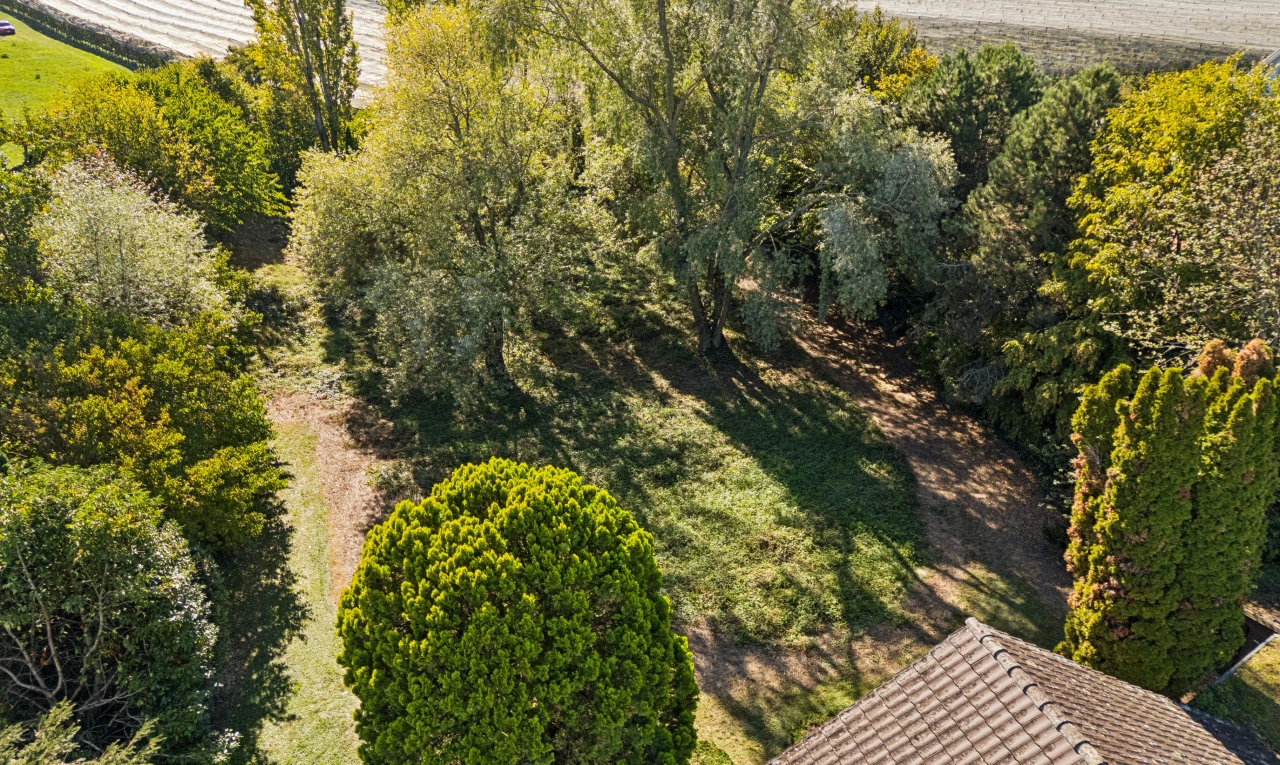 garten mit ländliche aussicht, rural view, blick auf obstgarten/agrarland, und orchard / agricultural view