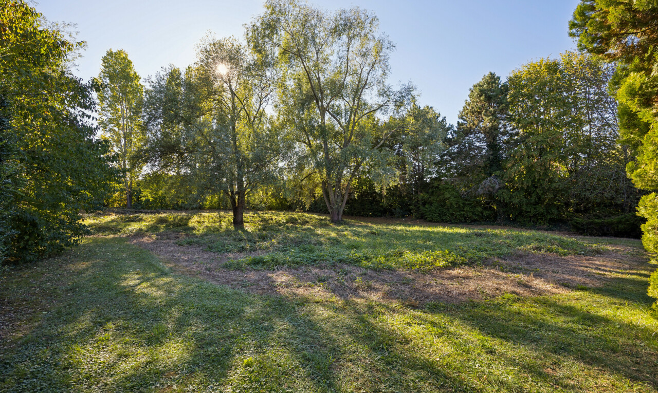 garten mit rasen, day time, und unknown
