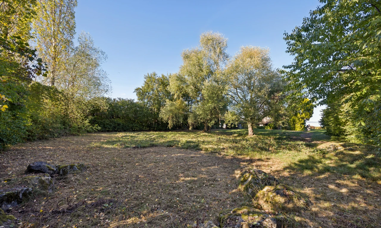 garten mit unknown und day time