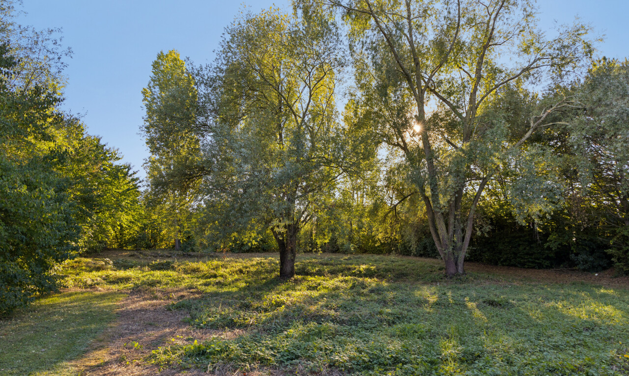 garten mit unknown