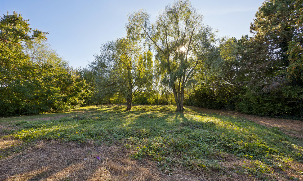 garten mit unknown und day time